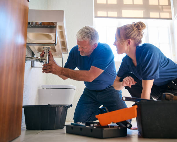 Best Residential Plumbing Services  in East Lansing, MI